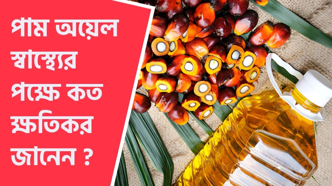 পাম তেল স্বাস্থ্যের পক্ষে কত ক্ষতিকর জানেন ?