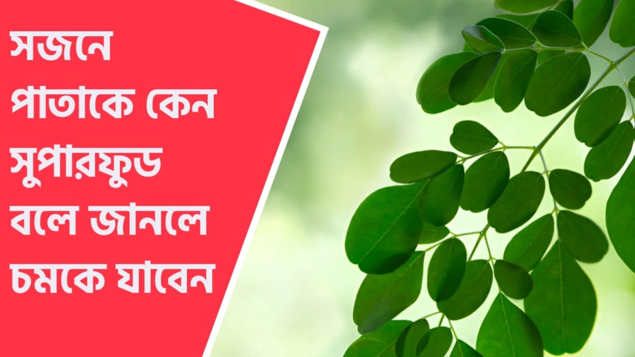 সজনেপাতা