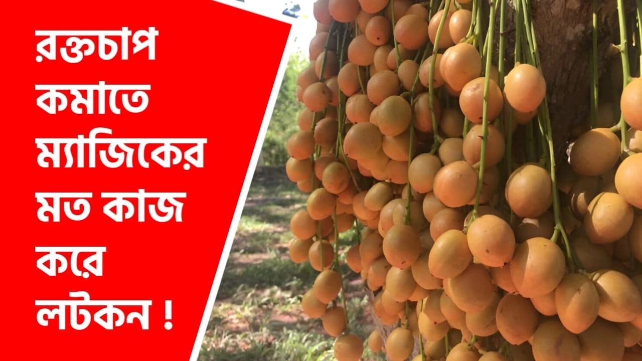 রক্তচাপ কমাতে লটকনের আশ্চর্য উপকারিতা